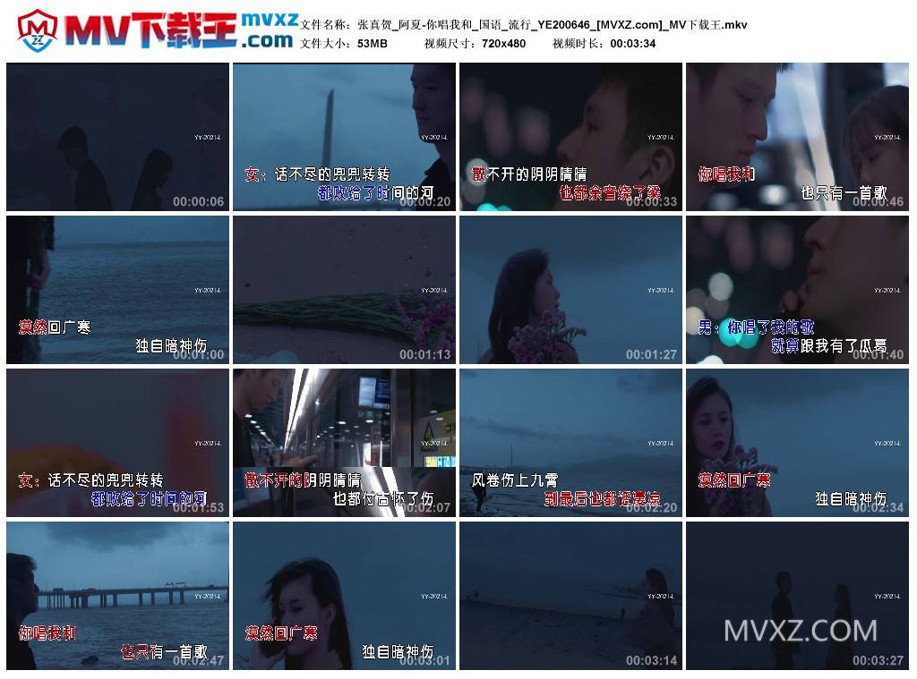 张真贺_阿夏-你唱我和_国语_流行_YE200646